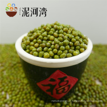 Atacado Verde Mung Beans Machine limpo Polido